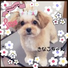 メロメロ~~♪