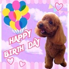 HAPPY BIRTHDAY!
