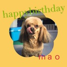 HAPPY BIRTHDAY!