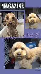 HAPPY BIRTHDAY!