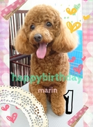 HAPPY BIRTHDAY!