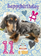 HAPPY BIRTHDAY!