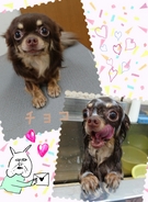 シャンプー気持ちいいよ~♪