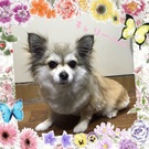 とっても人懐っこい♡