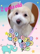 HAPPY BIRTHDAY!