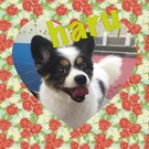 HAPPY BIRTHDAY!