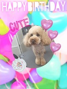 HAPPY BIRTHDAY!