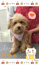 ドキドキ?!