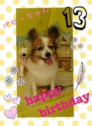 HAPPY BIRTHDAY!
