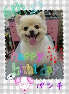 HAPPY BIRTHDAY!