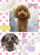 元気モリモリ!