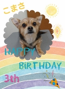 HAPPY BIRTHDAY!