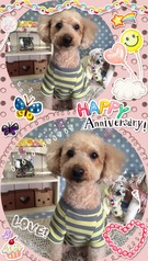 HAPPY BIRTHDAY!