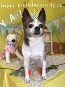 HAPPY BIRTHDAY!