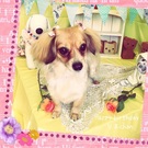 HAPPY BIRTHDAY!