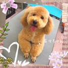 元気いっぱい♪