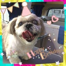 HAPPY BIRTHDAY!