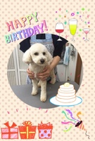 HAPPY BIRTHDAY!