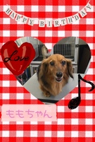 HAPPY BIRTHDAY!
