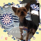 HAPPY BIRTHDAY!