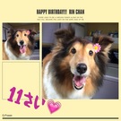 HAPPY BIRTHDAY!