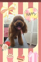 HAPPY BIRTHDAY!