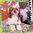 HAPPY BIRTHDAY!