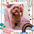 HAPPY BIRTHDAY!