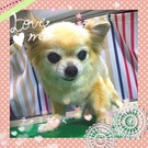 18歳になります♪