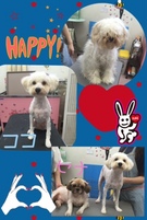 HAPPY BIRTHDAY!