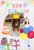 HAPPY BIRTHDAY!