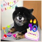 HAPPY BIRTHDAY!