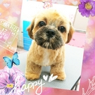 モテモテ~♡