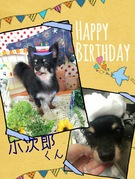 HAPPY BIRTHDAY!