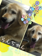 HAPPY BIRTHDAY!