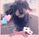 HAPPY BIRTHDAY!