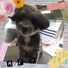 HAPPY BIRTHDAY!