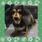 HAPPY BIRTHDAY!