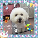 HAPPY BIRTHDAY!