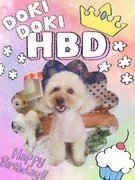 HAPPY BIRTHDAY!