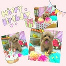 HAPPY BIRTHDAY!