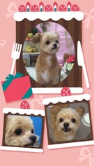 HAPPY BIRTHDAY!