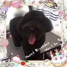 HAPPY BIRTHDAY!