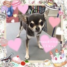 HAPPY BIRTHDAY!