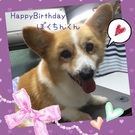 HAPPY BIRTHDAY!