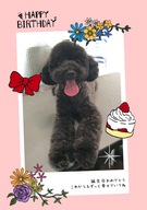 HAPPY BIRTHDAY!
