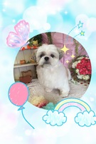 ふんわりキュート♡