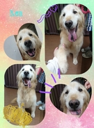 はじめてのトリミング☆彡