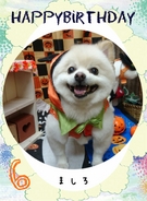 HAPPY BIRTHDAY!