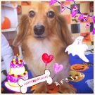 HAPPY BIRTHDAY!